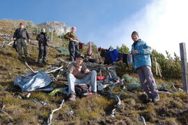 Forst-2008 (31)