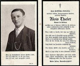 Thaler Alois Draxlerbauer Telfes Luimes