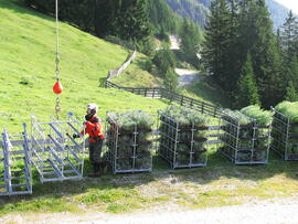 Forst-2008 (10)