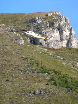 Forst-2008 (11)