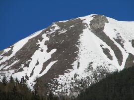 Forst-2008 (32)