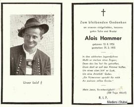 Hammer Alois Gleins-Schoenberg