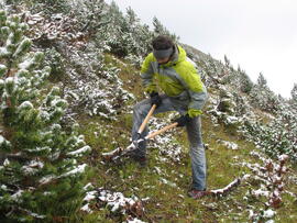 Forst-2008 (26)