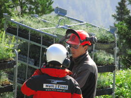 Forst-2008 (15)