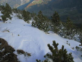 Forst-2007 (9)