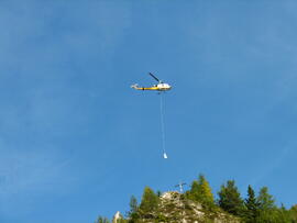 Forst-2008 (16)