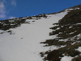 Forst-2007 (20)