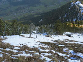 Forst-2007 (8)