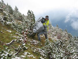 Forst-2008 (25)
