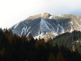 Forst-2007 (21)