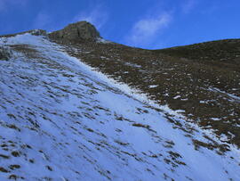 Forst-2007 (12)