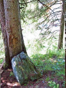 Steinschlag im Wald oberhalb des Wohnbaues Juns I im Jahre 1997.