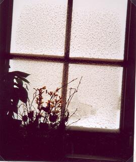 Ostersamstag - Schneesturm - Die Fenster sind zugeweht