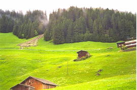 Mure 1999 - Brandegg