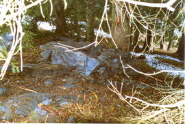 Steinschlag im Wald oberhalb des Wohnbaues Juns I im Jahre 1997.