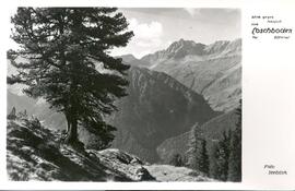 Blick gegen Junsjoch; vom Loschboden Tux Zillertal