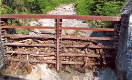 Aufräumen des Niklasbaches im Sommer 2002