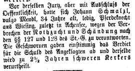 Aus dem Schwurgerichtssaal: Johann Schmalzl vlg. Mendl, 34 Jahre alt, ledig, Pferdeknecht aus Wie...