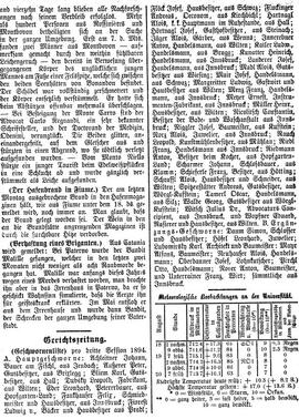 Geschworenenliste pro dritte Session 1894; Madl Alois, Gutsbesitzer aus Wiesing