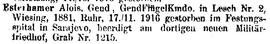 Esterhammer Alois, Gend., GendFlügelKmdo. in Lesch, Nr. 2, Wiesing, 1881, Ruhr, 17.11.1916 gestor...