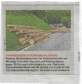 Transporter verlor Baumstämme