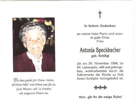 Antonia Speckbacher, geb. Schlögl, im 94. Lebensjahr