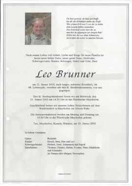 Brunner Leo
