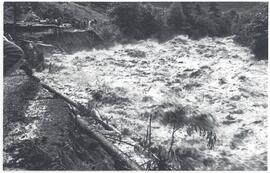 Hochwasser 1956, Nähe Ifangl