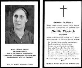 Tipotsch, Ottilia