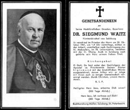 Waitz Dr. Siegmund
