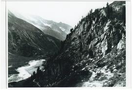 Weg zur Berlinerhütte oberhalb Alpenrose