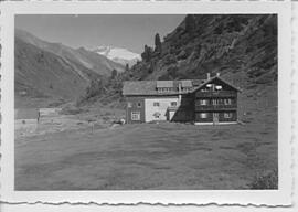 218 Alpenrose, Zemmtal, Waxegg, Fam.Geisler, Pumm