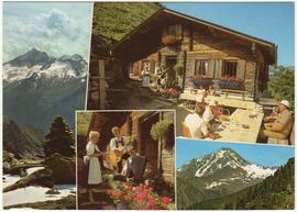 915 Alpenrose am Fellenberg weg zur Edelhütte privatbesitz Bräu Zell a Ziller