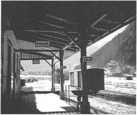 Bahnhof Mayrhofen 1928