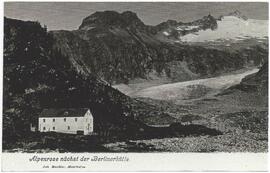 281 Alpenrose im Zemmgrund Waxegge erb. 1911  1875 m