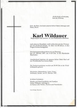 Wildauer Karl
