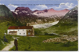 218 Alpenrose, Zemmtal, Waxegg, Fam.Geisler, Pumm, Hintergrund Hornkees