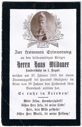 Wildauer Hans