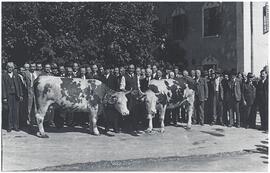 Tagung der Viehhändler Österreichs 1948