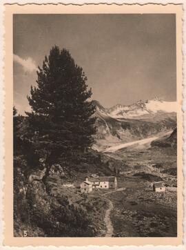 281 Alpenrose im Zemmgrund m. Kapelle