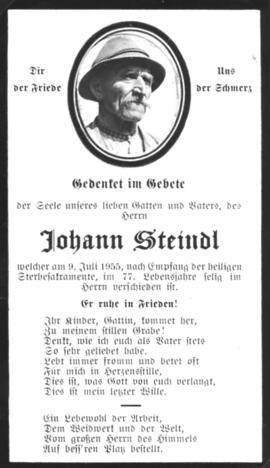 Steindl, Johann