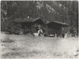 601, Bauern bei Mayrhofen Dornau