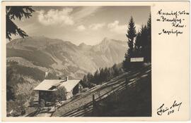 930 Wiesenhof Blick auf Mayrhofen u Tal aus