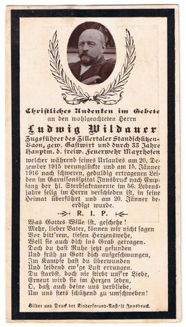 Wildauer Ludwig