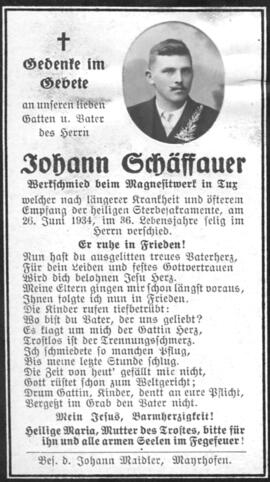 Scheffauer, Johann