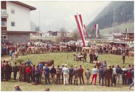 Ausstellung Braunvieh 1983, Lacknerfeld
