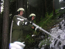 Waldbrand im Bereich Kaiserstand durch Blitzschlag