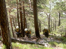 Nachlöscharbeit, Hechenberg, Finstertalegg, Kleiner Hochwandkopf, Hubschraubereinsatz,