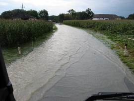 Hochwasser in Niederösterreich, Raum Amstetten, Hilfeleistung bei Aufräumung