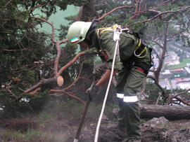 Waldbrand im Bereich Martinswand